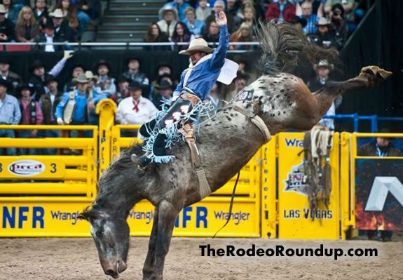 The Rodeo Round Up Gets ready for 2013 NFR