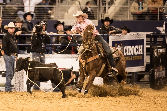 Rodeo - The American - Dallas Texas -  Sunday 2nd March 2014 - AT&T Stadium - Dallas