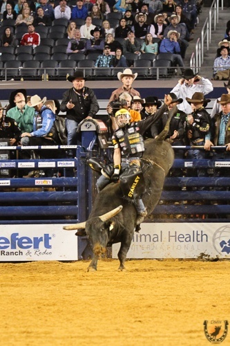 Bull Riding Silvano Alves Action